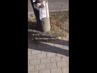 free тиктокерша показала что можно продать своё нижнее бельё фетишисту hd