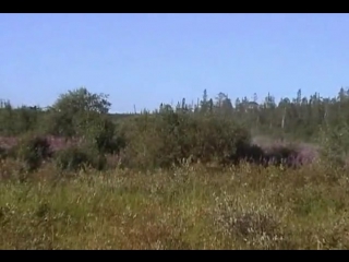 free учения совместно с фсб россии и мобильная рота спецназа hd