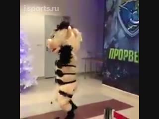 free свинья из ну погоди в стрингах танцевала стриптиз на матче вхл hd