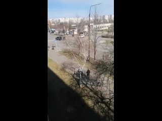 free энергодар предположительно задержание антифашистами члена диверсионной ячейки теробороны hd