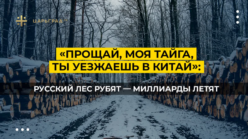 free прощай моя тайга ты уезжаешь в китай русский лес рубят миллиарды летят hd