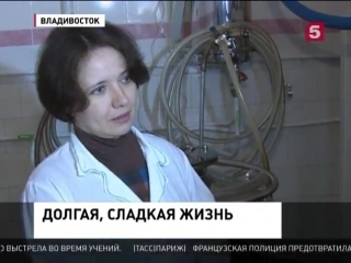 free в приморье синтезировали вещество которое способно продлить жизнь hd