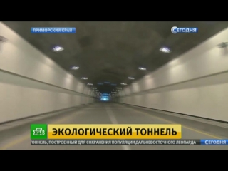 free экологический туннель в приморье под землей открыли движение транспорта hd