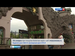 free московский зоопарк предлагает скидки на электронные билеты hd