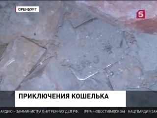 free в оренбурге кошелёк потерянный сорок лет назад вернули законному хозяину hd