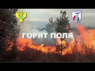 free огонь в поле причина пожара в лесу hd
