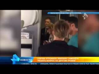 free собчак распсиховавшись в самолете угрожала стюардессам решить вопрос на другом уровне hd