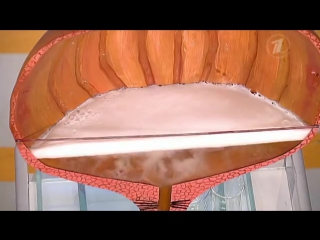 free еда и болезни чего не стоит есть при цистите hd