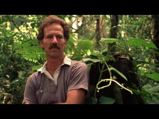 free бремя мечты 1982 режиссер лес бланк документальный рус субтитры hd