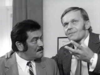 free золотой телёнок 1 серия 1973 ильф и петров венгрия hd