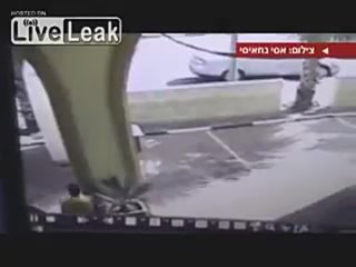 free бешеный волк был застрелен в израиле после того как покусал 12 человек hd