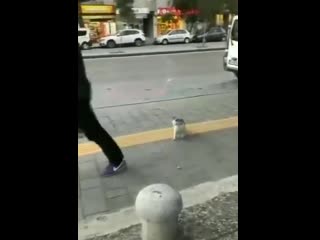 free знаете это чувство когда хочется просто до кого нибудь докопаться hd