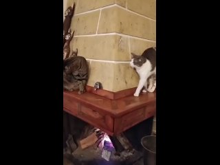 free не обращай внимания я мимо проходил hd