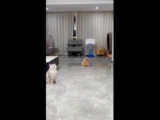 free я и мое состояние в конце рабочего дня примерно такое hd