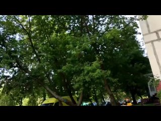 free в москве мигрант под молодые средь бела дня пытался похитить чужого ребёнка с секс площадки hd