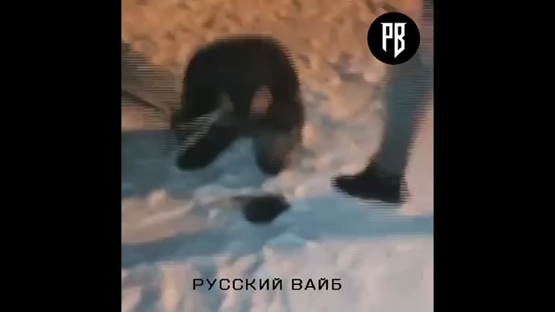 free полиция поймала спортиков которые издевались над закладчиками hd