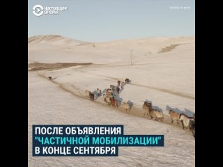 free от стоматолога до чемпионки россияне в монголии человек на карте hd