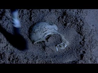 free как искусство сотворило мир серия 1 более человеческое чем сам человек more human than human hd