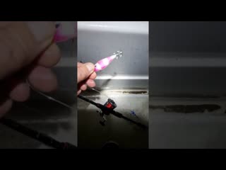 free отчет с кальмарной рыбалки на что ловить кальмар hd