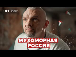 free мухоморная лихорадка почему в россии стало модно есть ядовитые грибы ток микродозинг hd