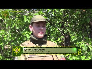 free полевая почта продолжает доставлять письма с фронта родным военнослужащих народная милиция лнр t medonbassinfograd hd