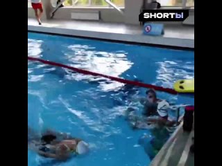free спорт пловцы днр приступили к тренироам на урале министерство спорта и туризма днр 30 спортсменов республики hd
