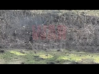 free видеопочему врагу не скрыться от русского миномёта 11 полк нм днр взаимодействием бпла и 120мм миномета выкуривает hd