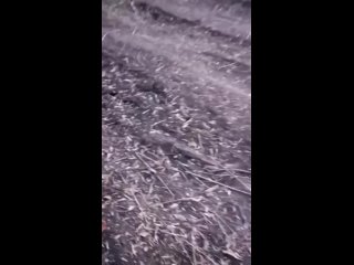 free хлопцы изрядно матерясь публикуют кадры своей сгоревшей бмп как сообщают в окрестностях артёмовска от боевой машины hd