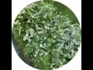 free наконец то лето наступило из параллельной реальности там где все хорошо rtrdonetsk t medonbassinfograd hd