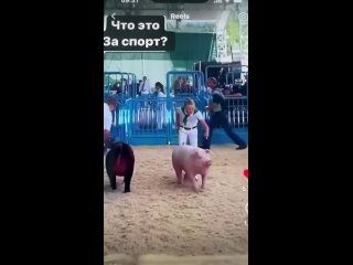 free новый вид спорта придумали англосаксы только вот название не нашли не знаете первые игры прошли вернее проходят ну в hd