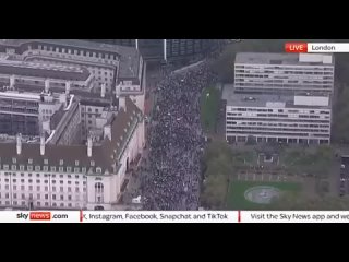 free массовые митинги в поддержку палестинцев в нью йорке лондоне и в турции а в поддержку украинцев такие митинги никто hd