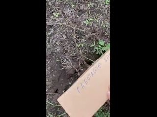 free от подписчиков архивное угледарское направление частенько только так и удавалось передавать снабжение на удаленные hd