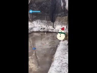 free хроники потужных перемог глазами противника фраза свинья везде грязь найдет заиграла новыми красками этих куда не hd