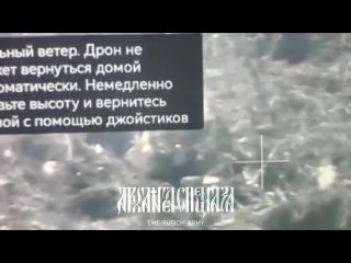free оппонент решил прогуляться на наши позиции вальяжная походка врага указывает на ощущение простой задачи но простая hd