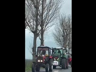 free обстановочка в германии по кайфу радует глаз лето и арбалеты щас фермера подъедут brussinf t medonbassinfograd hd
