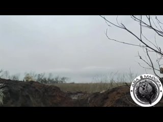 free борьба наших с fpv дронами военного поразившего цель так и не нашли два майора t medonbassinfograd hd