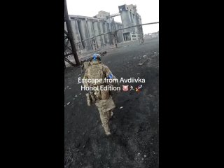 free поросята показывают как проходила их подготовленная эвакуация из авдееи добрейшего дня канал чат обратная связь hd