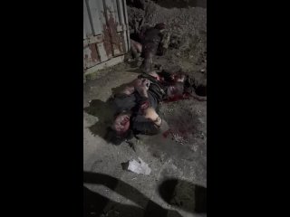 free в карачаево черкесии произошло нападение на пост дпс на трассе в поселке мара аягъы по имеющейся информации в ходе hd