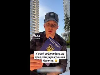 free у молодые больше прав чем у гражданина украины парень жалуется на факт отсутствия прав у украинцев он сравнил hd