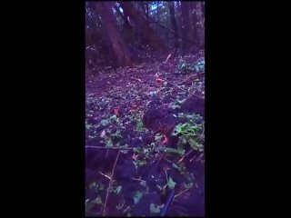 free чтоб было понятно тем кто в тылу с какими боями наши продвигаются вперед останавливаться нельзя только вперед hd