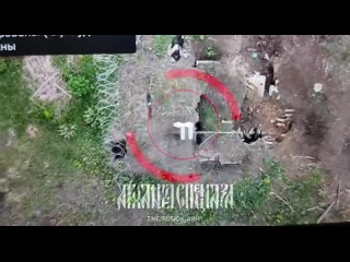 free сброс оппоненту прямиком в блиндаж все обитатели укрытия отправились к бандере блиндаж кстати весь выгорел арханг hd