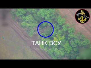 free просыпаемся а тут опять незаконная паркоа да еще и в парковой зоне фашисты планировали устроить небольшой пикник на hd