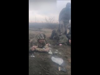 free попадать к врагу в плен очень плохая идея в плен попадают по разным причинам раненые потерявшие сознание оставшиеся hd