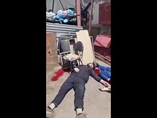 free в говне лежат возле мусорки туда им и дорога а вот такие кадры надо популяризировать и крутить принудительно в hd