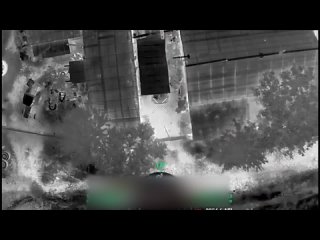 free паркоа молодые нашли в корабельном районе любителей притвориться мирными жителями хозяева негостеприимные и из дома hd