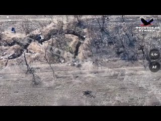 free американская пушечка заряжена но не стреляет стрелковая стычка с всушниками и тут шото пошло нэ так клинит автоматик hd