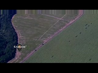 free курская область свежие кадры ударов по группам всу похоже усилия украины в нападении на курскую область россии hd