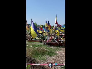 free бойцы всу несут большие невозвратные потери по всей линии фронта очередной трехсотый в ожидании эвакуации а тем hd