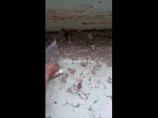 free подразделение всу сдалось в волчанске ожесточённые бои в городе в харьковской области продолжаются t mervvoenkor t hd