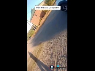 free мать отбивает сына у сотрудников тцк прямо из рук в последнее время сотрудники тцк усилили действия по hd